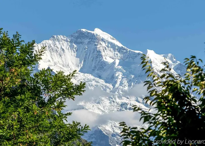 Royal St. Georges - Mgallery Collection 4*